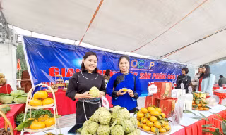 Giới thiệu quảng bá các sản phẩm OCOP ở Lạng Sơn. Ảnh: Duy Chiến