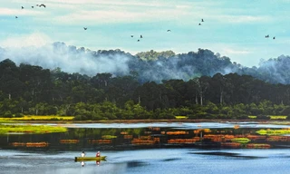 Bàu Sấu. Ảnh: Quốc Việt