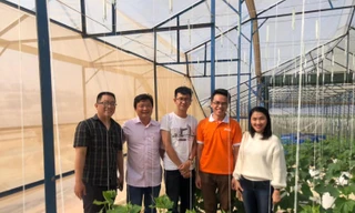 Làm giàu từ nông nghiệp xanh 