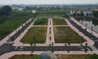 Đất đấu giá tại Hoài Đức (Hà Nội) được bỏ giá cao gấp 28 lần giá khởi điểm. Ảnh: Nguyễn Hùng