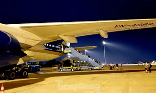 Hàng không tăng chuyến bay đêm, giá vé giảm mạnh 