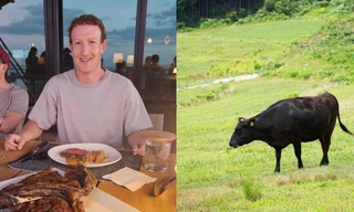 Tỷ phú Mark Zuckerberg chăn nuôi gia súc ở đảo Hawaii