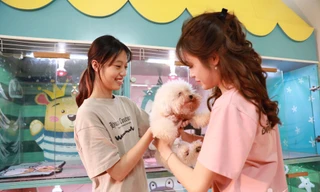 Khách sạn thú cưng 'cháy phòng' cận Tết, nhân viên phục vụ không ngơi tay