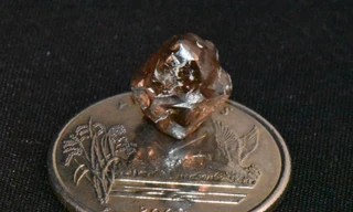 Bất ngờ thấy viên kim cương khổng lồ ở công viên