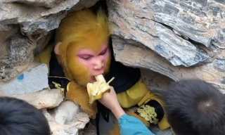 Tìm thuê Tôn Ngộ Không, trả lương gần 1.000 USD/tháng chỉ để ăn chuối