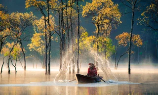 Chốn tiên cảnh hiện ra ở Đà Lạt