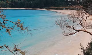 Dư thừa vé máy bay đi Côn Đảo