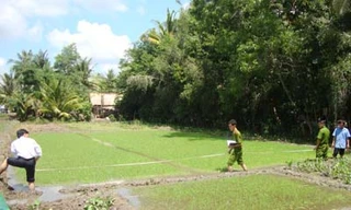 Mẹ con bà lão nghèo giết người vì... con chuột