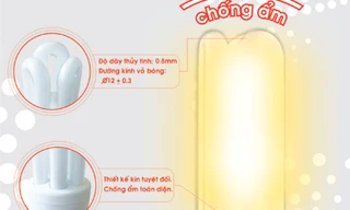 Bóng đèn compact chống ẩm