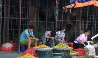 Mận Trung Quốc tại chợ đầu mối có giá 6.000-8.000 đồng/kg.