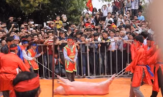 "Ông lợn" trước khi bị chém giữa sân đình.