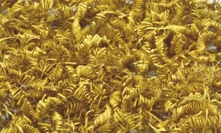 Khoảng 2000 cuộn vàng được cho là đồ trang sức trên trang phục và mũ đội đầu của một vị chủ tế. Ảnh: Live Science.