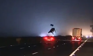 Bò 'lạc' lên cao tốc bị ô tô đâm tung lên trời