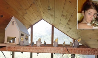 Nữ triệu phú Leslie Ann Mandel đã để lại 2,2 tỷ đồng tiền thừa kế cho những con vẹt cưng.