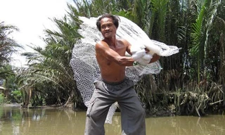 40 năm 'cướp thức ăn' của Hà Bá trên sông Sài Gòn