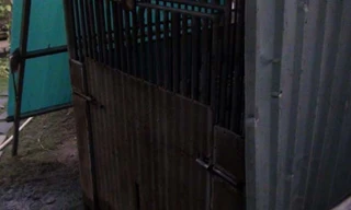 Chuồng nuôi gấu nơi bé D. bị con gấu cắn cánh tay kéo vào trong.