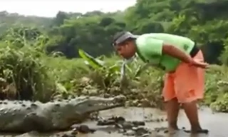 Thất kinh xem người đàn ông 'câu' cá sấu bằng miệng