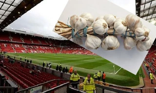 Du khách hít phải mùi tỏi nồng nặc khi tới tham quan sân Old Trafford.