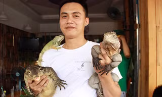 Giới trẻ phố núi và thú chơi bò sát độc, lạ
