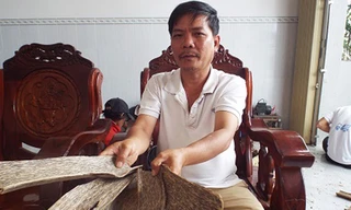 Trầm "sánh bì" được tạo ra từ vỏ cây dó bầu.