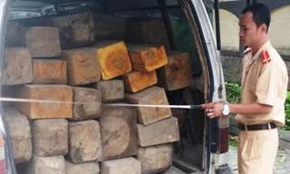 Trên xe chất đầy gỗ không rõ nguồn gốc. Ảnh: Đ.T.