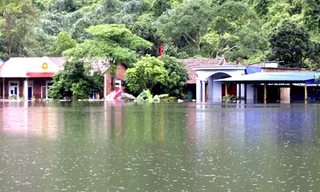 Nước dâng cao, xã đảo ở Hải Phòng biến thành biển hồ