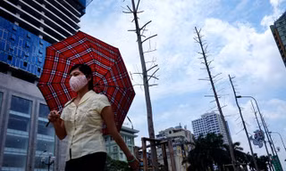 Thăm hàng cây mới trồng trên đường Nguyễn Chí Thanh 