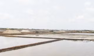 Ruộng muối ở huyện Đông Hải, Bạc Liêu. Ảnh chụp ngày 20/3.
