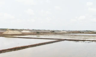 Ruộng muối ở huyện Đông Hải, Bạc Liêu. Ảnh chụp ngày 20/3.