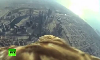 Ngắm thành phố Dubai trên cánh đại bàng