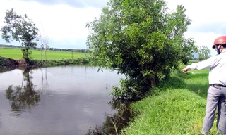 Khu vực mương nước mà 3 anh em tử vong. Ảnh: Xuân Mai.