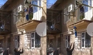 Lười đi cầu thang, mẹ thả con từ ban công xuống đất