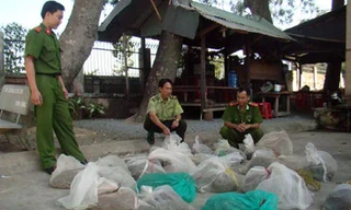 Số trăn bị nuôi, nhốt trái phép.