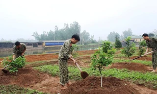 Chiến đấu viên Đội 11, Liên đội Đặc công 9 chăm sóc vườn cây ăn quả.