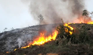 Ảnh minh họa: Internet.