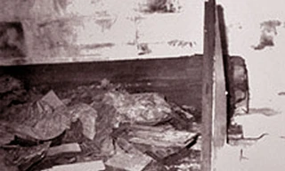 Tôn Điện Anh và vụ án đào lăng mộ Từ Hy thái hậu