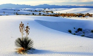 Những cồn cát trắng bên trong sa mạc thuộc công viên quốc gia White Land không một bóng râm.