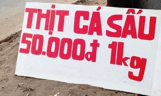 Cá sấu được bày bán tràn lan khắp đường phố với giá siêu rẻ 50.000 đồng/kg.