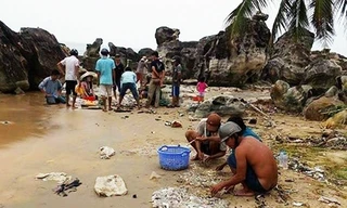 Người dân đổ xô bắt hải sâm ở bãi biển Phú Quốc. Ảnh: A.X.