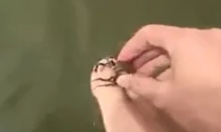 Xem người đàn ông câu cá bằng ngón chân