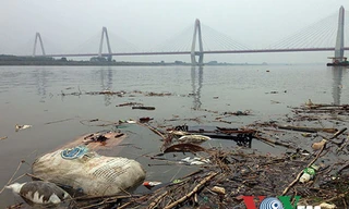 Rác thải, xác động vật chết... bị vứt đầy trên mặt sông. Ảnh chụp tại chân cầu Nhật Tân.