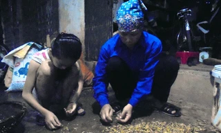 Làng nghề rang tẩm châu chấu độc nhất Việt Nam