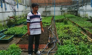 Anh Bùi Ngọc Minh Tâm và vườn rau sạch của gia đình. H.K.