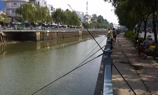Cần câu bủa xuống lòng kênh Nhiêu Lộc-Thị Nghè vào chiều 22/1. Ảnh: Đình Phú.