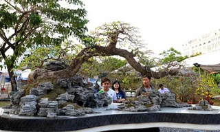 Tác phẩm Vươn xa có giá 200 triệu đồng. Ảnh: Đình Tuyển.