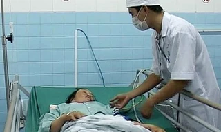 Hai nông dân ở Quảng Trị bị rắn lục đuôi đỏ cắn khi đang gặt lúa. Ảnh: Hoàng Táo.