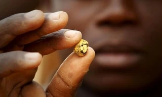 Cuộc sống của những đứa trẻ đào vàng tại Philippines