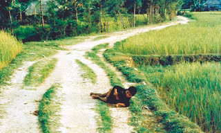 Đứa trẻ Mỹ Lai - Kỳ 2: Sống sót
