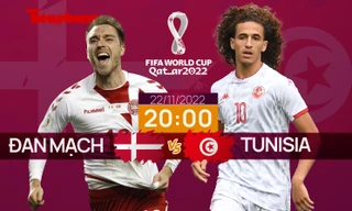 World Cup 2022: Tương quan trận đấu Đan Mạch - Tunisia, 20 giờ 22/11