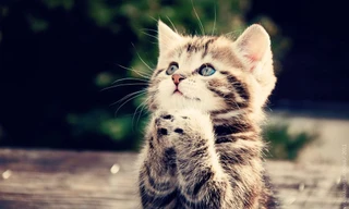 Những bất tiện nho nhỏ trong cuộc sống thực ra sẽ giúp bạn mạnh mẽ hơn